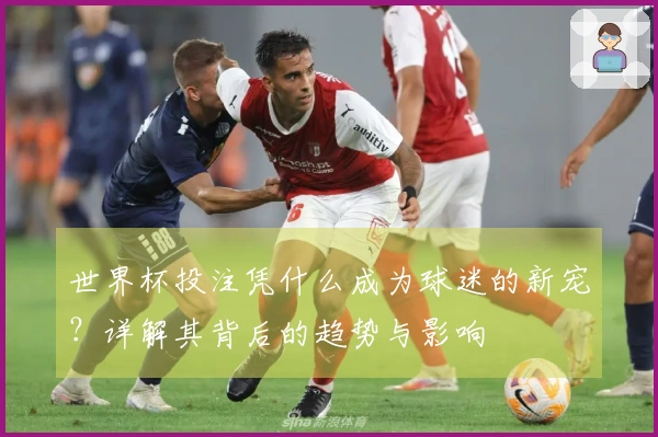 世界杯投注凭什么成为球迷的新宠？详解其背后的趋势与影响
