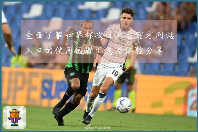 全面了解世界杯投注平台官方网站入口的使用问题汇总与体验分享