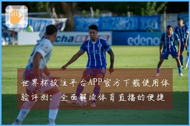 世界杯投注平台APP官方下载使用体验评测：全面解读体育直播的便捷与优势