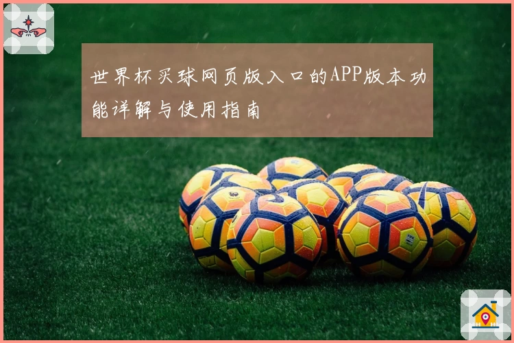 世界杯买球网页版入口的APP版本功能详解与使用指南
