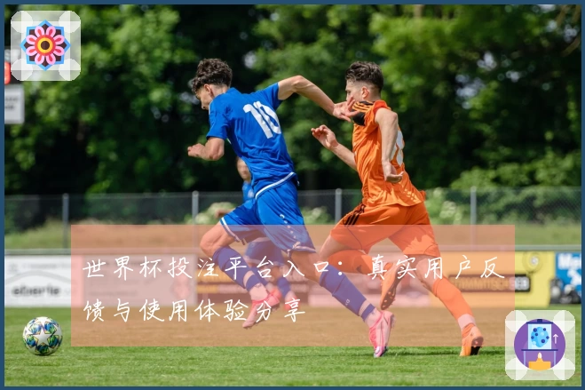 世界杯投注平台入口：真实用户反馈与使用体验分享