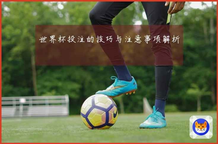 世界杯投注的技巧与注意事项解析
