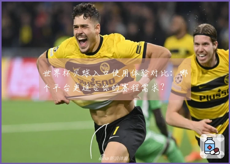 世界杯买球入口使用体验对比：哪个平台更适合你的赛程需求？