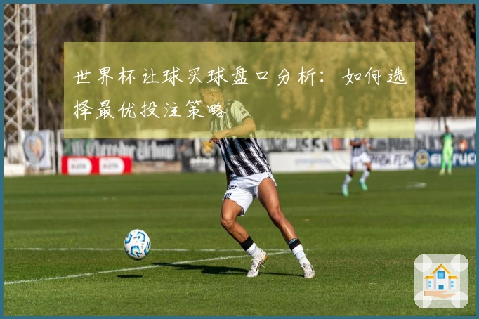 世界杯让球买球盘口分析：如何选择最优投注策略