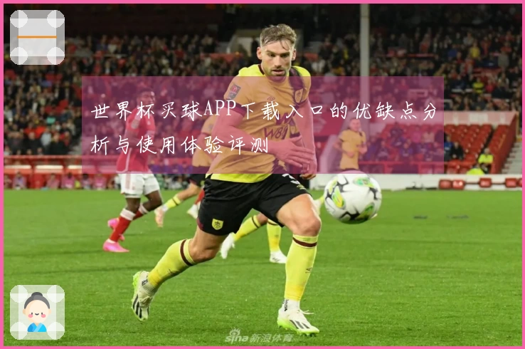 世界杯买球APP下载入口的优缺点分析与使用体验评测