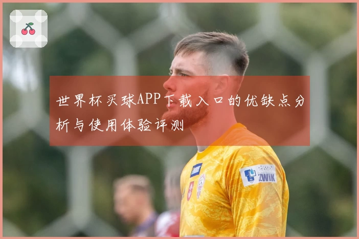 世界杯买球APP下载入口的优缺点分析与使用体验评测