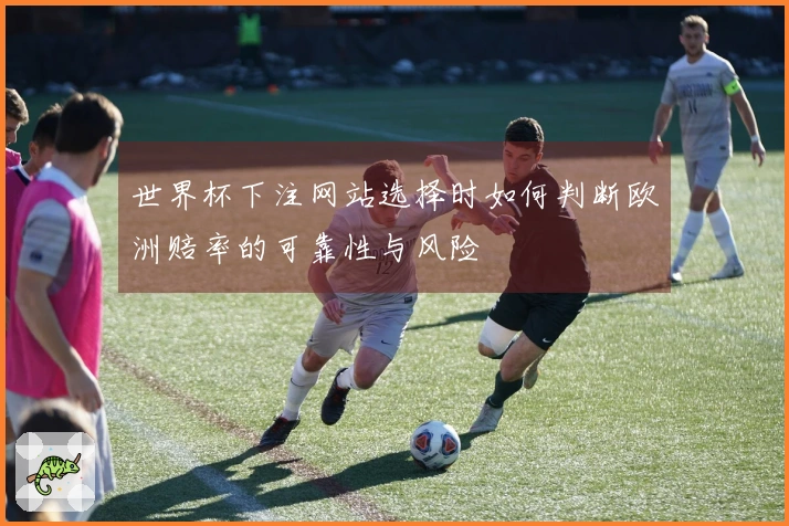 世界杯下注网站选择时如何判断欧洲赔率的可靠性与风险