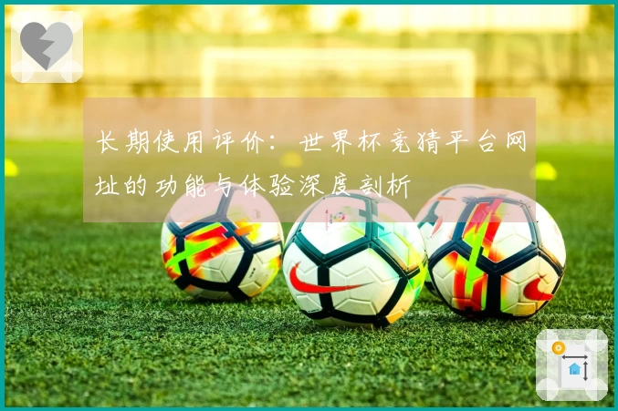 长期使用评价：世界杯竞猜平台网址的功能与体验深度剖析