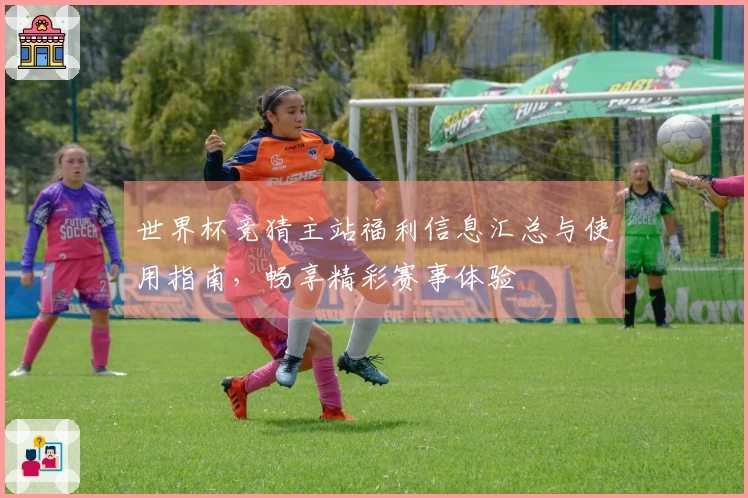 世界杯竞猜主站福利信息汇总与使用指南，畅享精彩赛事体验