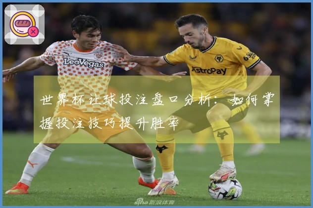 世界杯让球投注盘口分析：如何掌握投注技巧提升胜率
