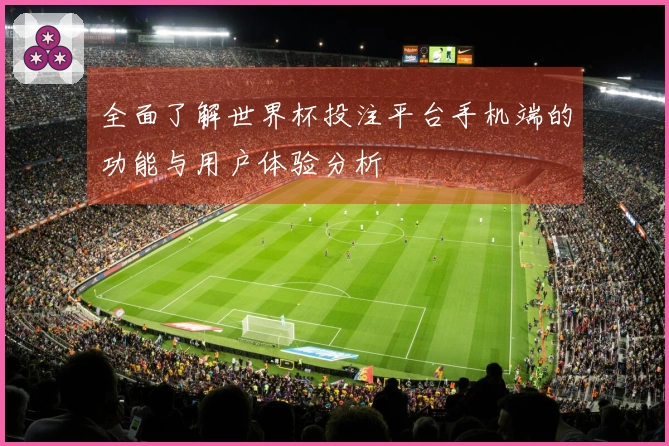 全面了解世界杯投注平台手机端的功能与用户体验分析
