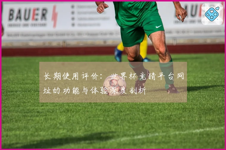 长期使用评价：世界杯竞猜平台网址的功能与体验深度剖析